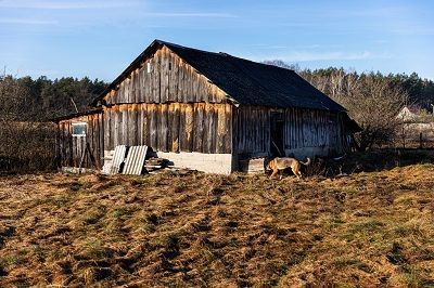 reclaim-your-space-with-fast-old-shed-removal-manchester-big-0
