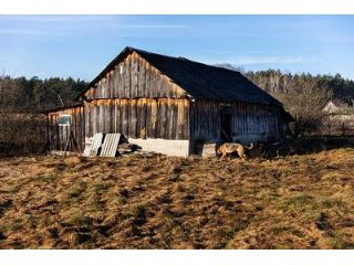reclaim-your-space-with-fast-old-shed-removal-manchester-small-0
