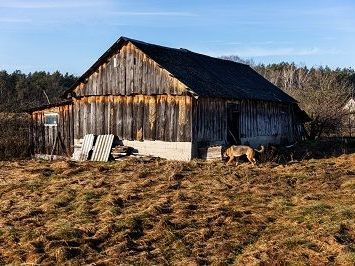 reclaim-your-space-with-fast-old-shed-removal-manchester
