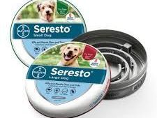 simparica-trio-for-dogs-flea-tick-heartworm-protection