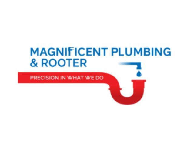 garbage-disposal-replacement-in-san-ramon-fast-plumbing-service