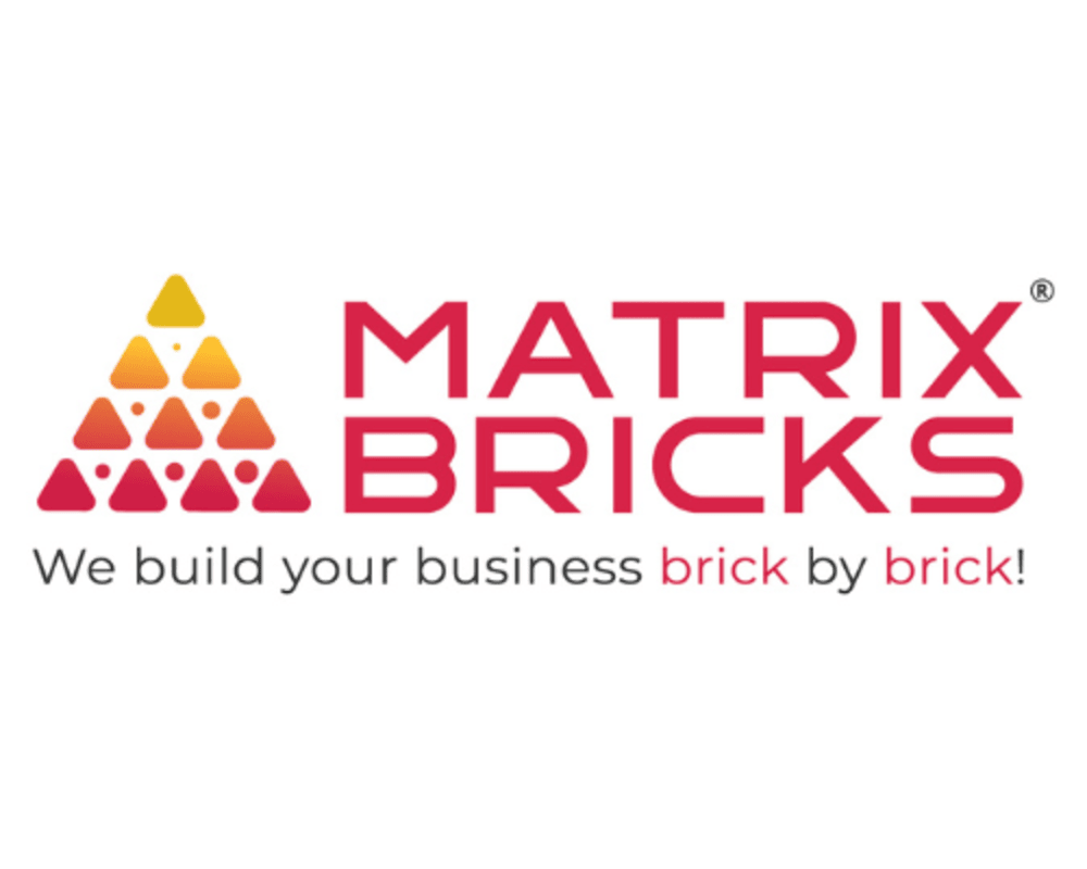 matrix-bricks-usa-digital-marketing-services-for-e-commerce-usa