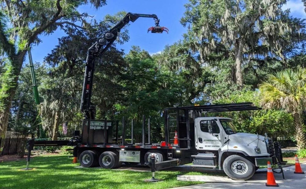 commercial-tree-services-jacksonville-big-0