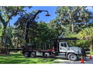 commercial-tree-services-jacksonville-small-0
