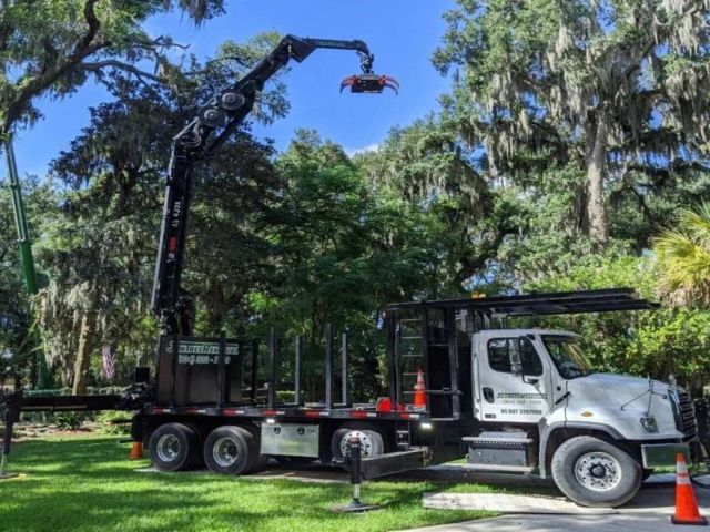 commercial-tree-services-jacksonville