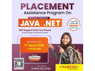 practical-developer-training-in-full-stack-java-net-small-0