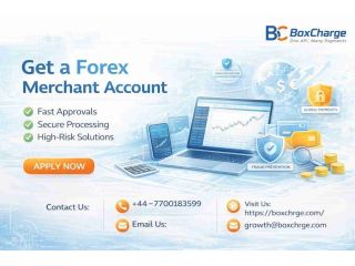 instant-forex-merchant-account-setup-fast-secure-small-0