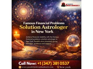 famous-financial-problems-solution-astrologer-in-new-york-love-small-0