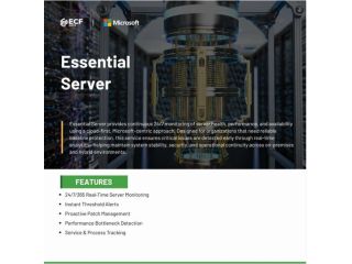 247-essential-server-monitoring-prevent-downtime-small-0