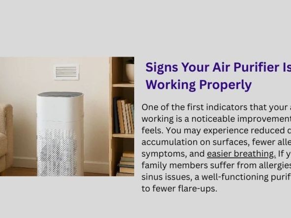 best-car-air-purifier-in-india-online