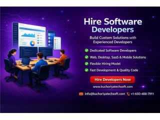 hire-software-developers-for-innovative-tech-solutions-small-0