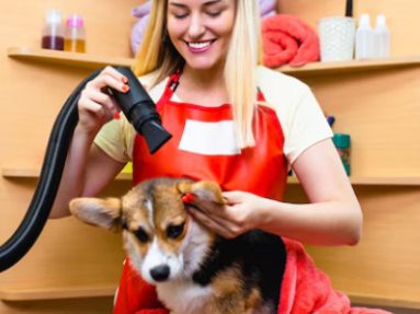 dog-grooming-in-highlands-ranch