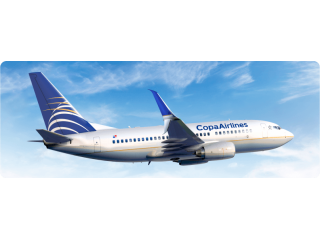 copa-airlines-name-correction-policy-1-833-641-1988-small-0