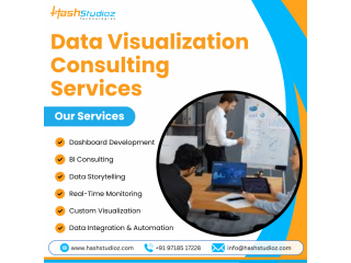 professional-data-visualization-consulting-services-small-0