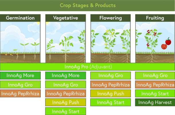 advanced-fruit-development-solutions-bioag-innovations-big-0