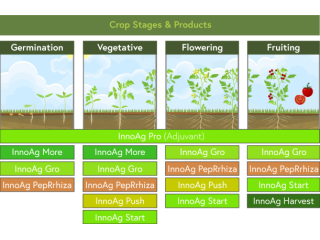 advanced-fruit-development-solutions-bioag-innovations-small-0