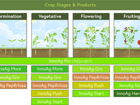 advanced-fruit-development-solutions-bioag-innovations