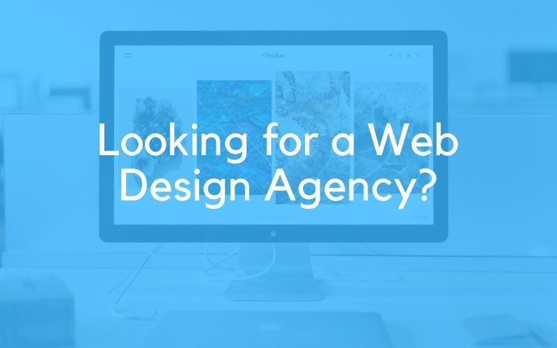 web-design-agency-in-florida-crafting-engaging-web-interfaces-big-0