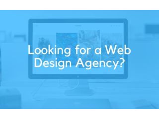 web-design-agency-in-florida-crafting-engaging-web-interfaces-small-0