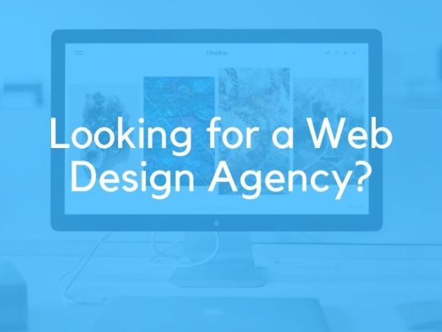 web-design-agency-in-florida-crafting-engaging-web-interfaces
