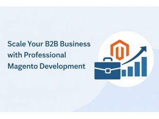 scale-your-b2b-business-with-professional-magento-development-small-0