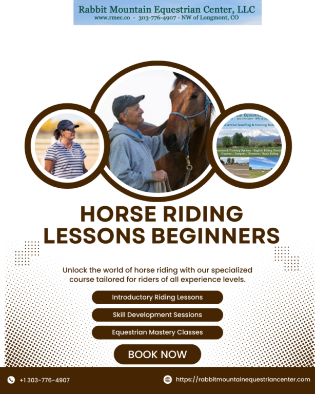 horse-riding-lessons-for-beginners-big-0