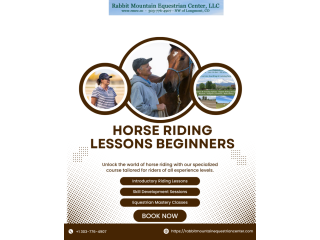 horse-riding-lessons-for-beginners-small-0