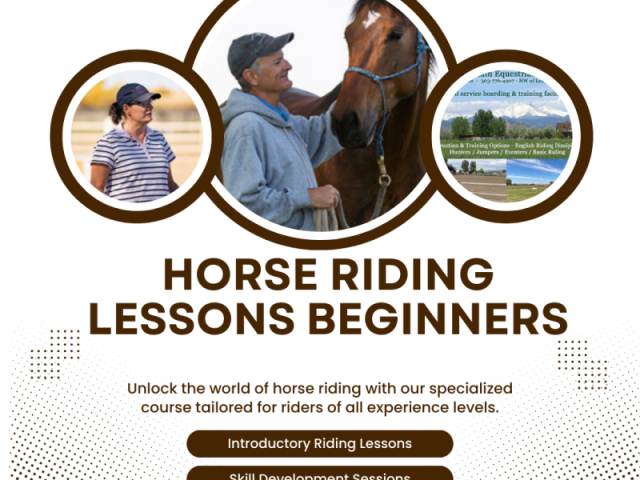 horse-riding-lessons-for-beginners