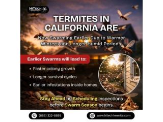 termite-fact-small-0