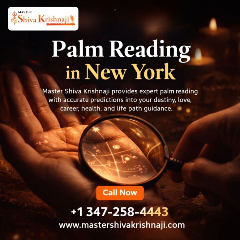 master-shiva-krishnaji-palm-reading-in-new-york-big-0