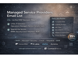 get-managed-service-providers-email-list-with-contactmetrix-small-0