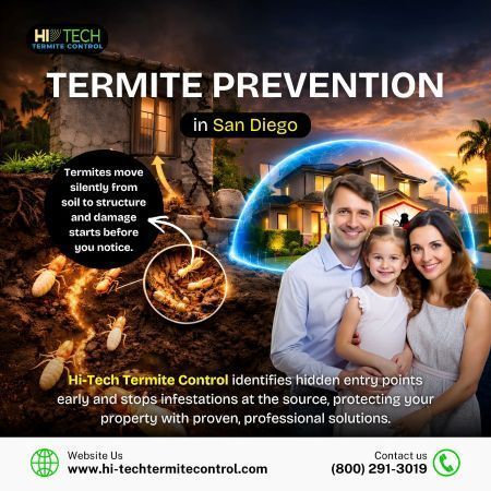 termites-move-silently-from-soil-to-structure-big-0