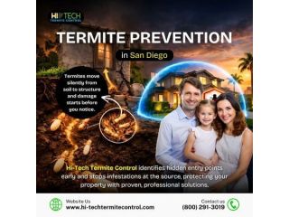 termites-move-silently-from-soil-to-structure-small-0