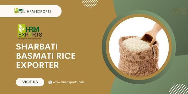 top-sharbati-basmati-rice-exporter-in-india-big-0
