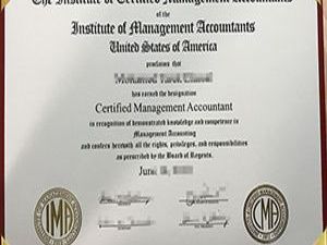 professional-academic-certificate-design-elements-for-schools