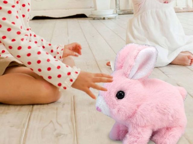 hoppsy-robot-bunny-at-hoppsyrobotbunny-is-it-really-worth-it