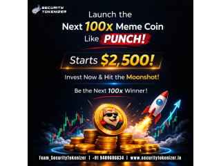 launch-the-next-100x-meme-coin-like-punch-starts-2500-small-0