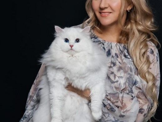 siberian-kitten-for-sale-siberian-home