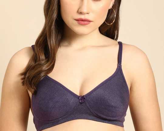 dressberry-purple-solid-non-wired-lightly-padded-everyday-bra