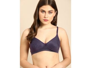 dressberry-purple-solid-non-wired-lightly-padded-everyday-bra-small-0