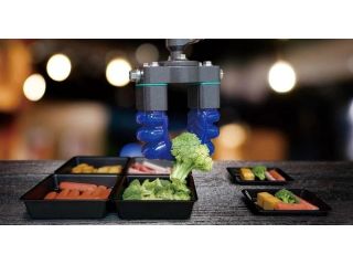 soft-robotics-suction-cup-small-0
