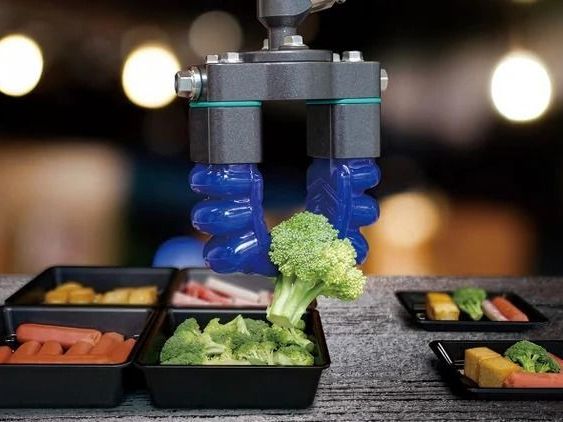 soft-robotics-suction-cup