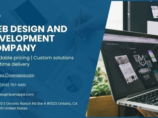 website-design-and-development-company