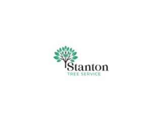 stanton-tree-service-small-0