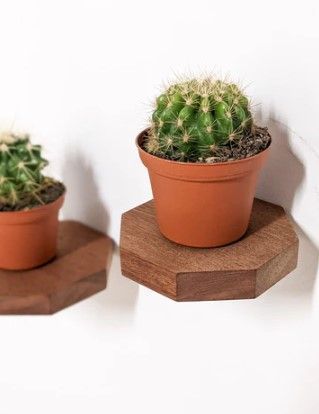 mini-shelves-for-2026s-edgiest-decor-vibes-big-0
