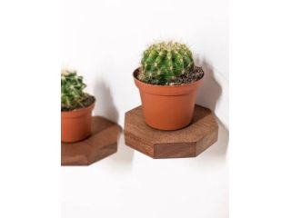 mini-shelves-for-2026s-edgiest-decor-vibes-small-0