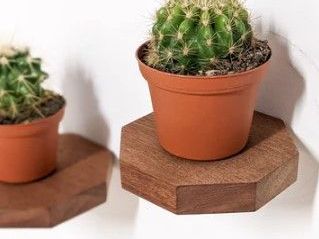 mini-shelves-for-2026s-edgiest-decor-vibes