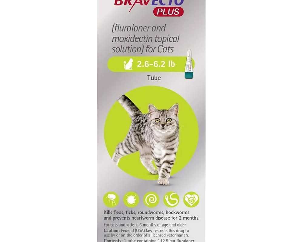 bravecto-plus-for-cats-30-off-on-this-summer-petcareclub
