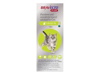 bravecto-plus-for-cats-30-off-on-this-summer-petcareclub-small-0