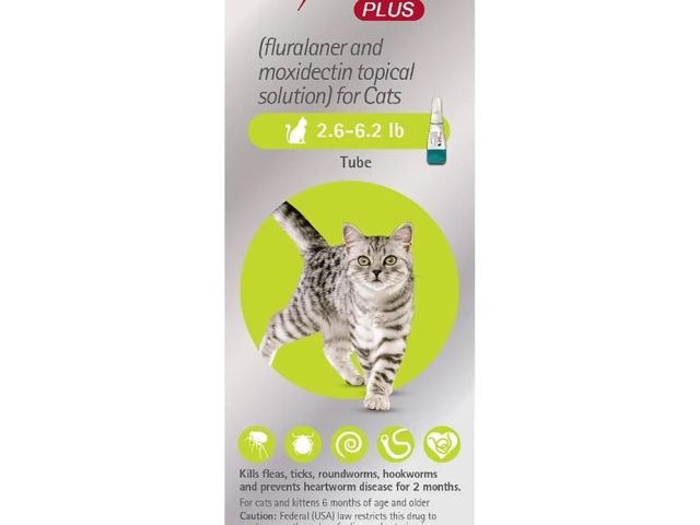 bravecto-plus-for-cats-30-off-on-this-summer-petcareclub